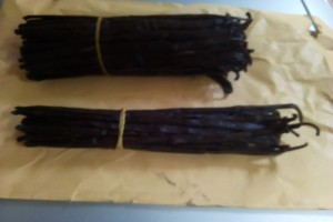 Vanilla Beans from Uganda